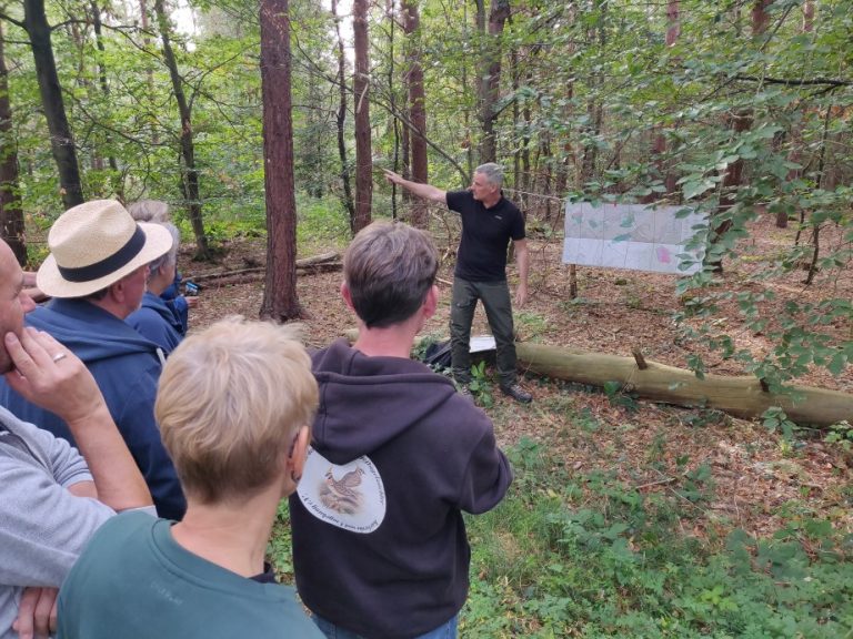 Waldrundfahrt mit Förster Melcher
